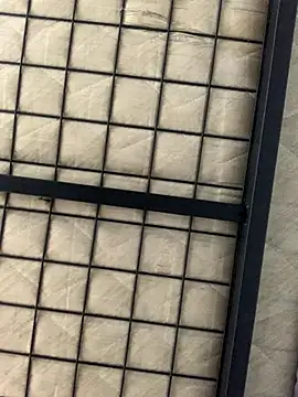 longitu3 online show from October 9, 2025, 8:59 am