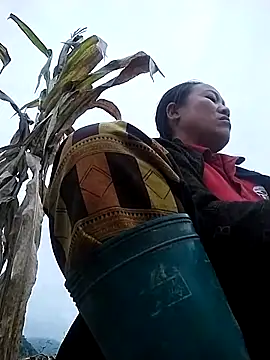 asakaka online show from November 12, 2025, 2:43 pm