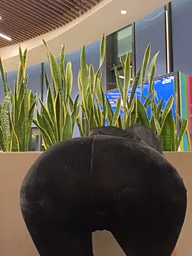 Snapshot of ilariea_girl chatting on February 3, 2026, 5:07 pm ilariea girl online show from February 3, 2026, 5:07 pm