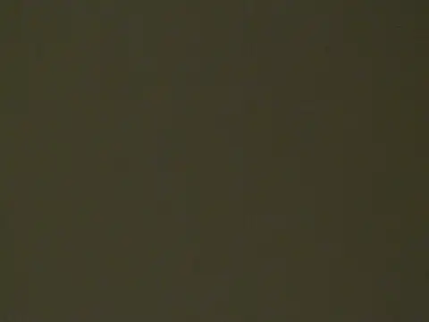 SexBoobsxx194 online show from October 9, 2025, 6:14 am