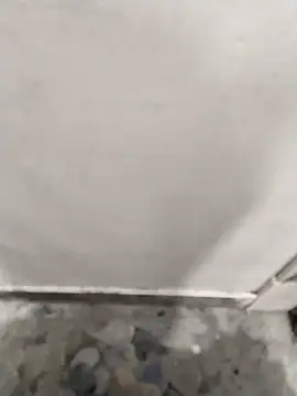 bunty-babli online show from November 12, 2025, 4:05 am