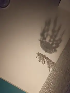 Lio2710 online show from October 15, 2025, 12:24 pm