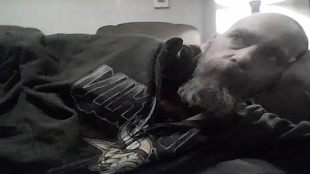 crazyheratic8 online show from January 17, 2026, 1:31 am