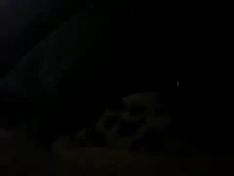 Snapshot of pleasedontpressaredburton chatting on February 7, 2026, 3:03 am pleasedontpressaredburton online show from February 7, 2026, 3:03 am