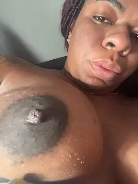 Priihmedeiros online show from November 22, 2025, 10:14 am