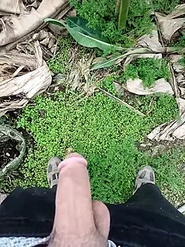 Snapshot of Sikici0734 chatting on November 6, 2025, 9:35 am Sikici0734 online show from November 6, 2025, 9:35 am