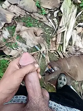 Snapshot of Sikici0734 chatting on November 13, 2025, 9:24 am Sikici0734 online show from November 13, 2025, 9:24 am