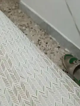 Snapshot of Lucastra98 chatting on November 5, 2025, 8:17 am Lucastra98 online show from November 5, 2025, 8:17 am