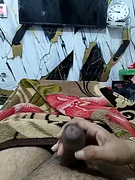 Nisha sonu couple online show from November 15, 2025, 4:16 am