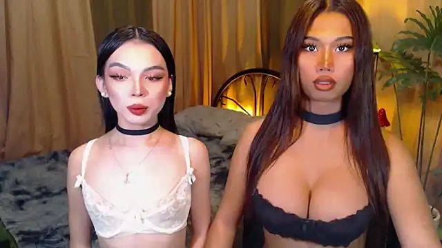 TWINKTRANSSHANEL online show from October 8, 2025, 4:25 am