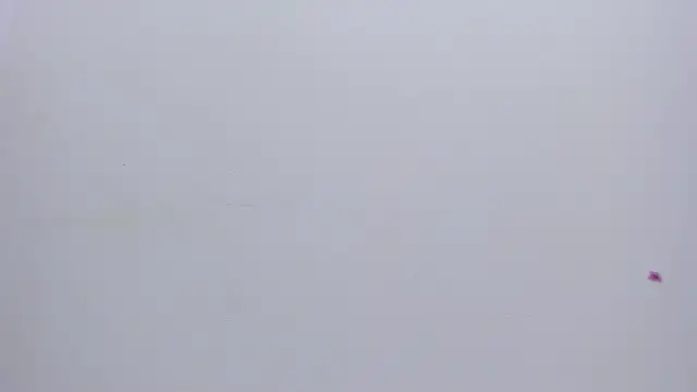 Malory  Jones online show from January 13, 2026, 6:34 pm