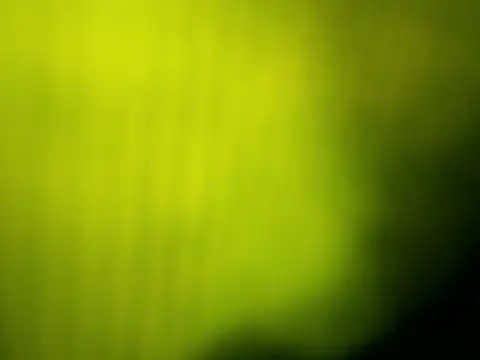 GingerLegend online show from April 9, 2026, 12:22 pm