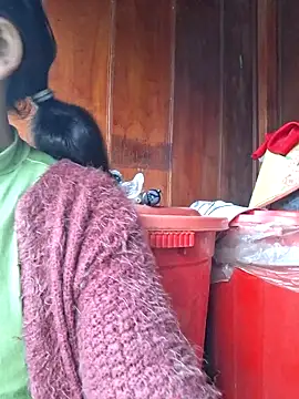 miomio-12 online show from February 23, 2026, 1:29 am