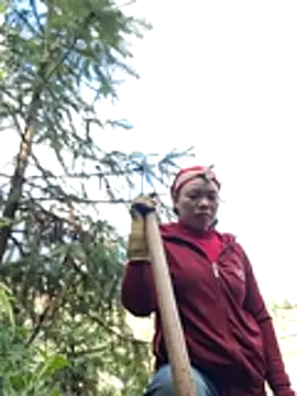 miomio-12 online show from November 24, 2025, 2:55 am