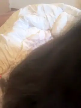 luciamaria01 online show from October 25, 2025, 7:18 am