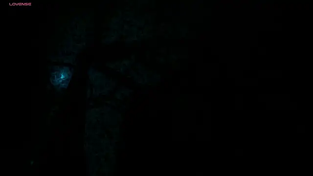 Leoo Miller online show from November 25, 2025, 3:40 am