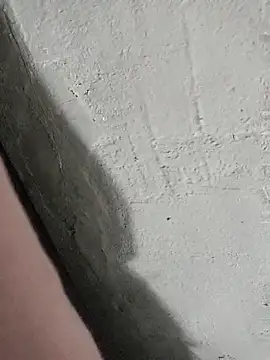 Snapshot of pn12345 chatting on October 27, 2025, 7:42 am pn12345 online show from October 27, 2025, 7:42 am