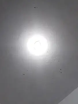  Bella Beth  online show from November 30, 2025, 2:12 am