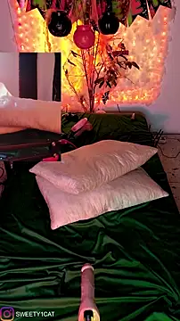 Snapshot of SweetyCatt1 chatting on October 24, 2025, 11:48 pm SweetyCatt1 online show from October 24, 2025, 11:48 pm