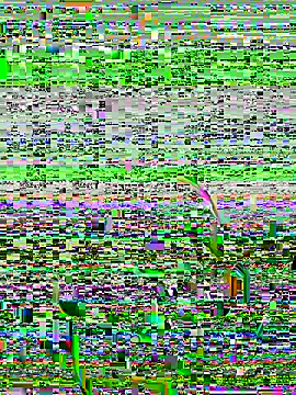 lain213 online show from October 9, 2025, 5:19 am