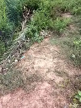 Snapshot of MalickKai chatting on October 14, 2025, 10:49 am MalickKai online show from October 14, 2025, 10:49 am