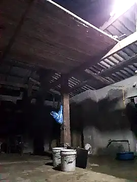 jerry-xx online show from December 14, 2025, 12:55 pm