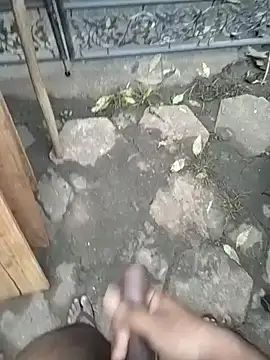 SL BEAR online show from December 4, 2025, 1:37 am