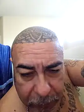 Snapshot of B1GLO chatting on February 21, 2026, 4:31 pm B1GLO online show from February 21, 2026, 4:31 pm