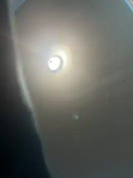 Steven-1989 online show from November 30, 2025, 9:43 am