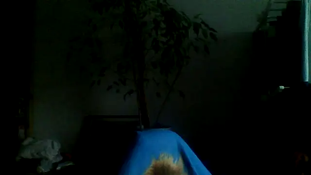 Snapshot of Macknow chatting on October 14, 2025, 6:14 am Macknow online show from October 14, 2025, 6:14 am