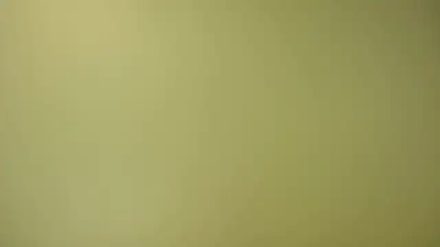 mileshake online show from October 25, 2025, 1:49 am