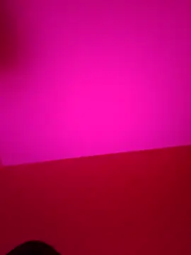 xcodigorojo online show from November 14, 2025, 6:17 am