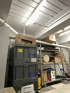 AlexGogo23 online show from February 12, 2026, 11:54 am