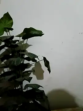 Snapshot of Jessica-03 chatting on March 4, 2026, 4:59 pm Jessica-03 online show from March 4, 2026, 4:59 pm