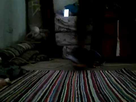 Snapshot of YoussefAl-Fahl chatting on August 6, 2026, 12:44 pm YoussefAl-Fahl online show from August 6, 2026, 12:44 pm