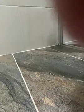 Dani anal ts online show from October 29, 2025, 8:52 pm