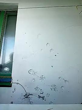 HollyDollsi online show from October 14, 2025, 9:21 am