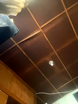 Zoe fire online show from November 13, 2025, 12:09 pm