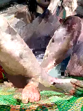 -Kem-01 online show from December 5, 2025, 1:10 pm