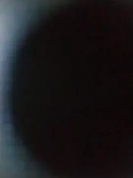 Wolfsexass online show from October 16, 2025, 6:54 am