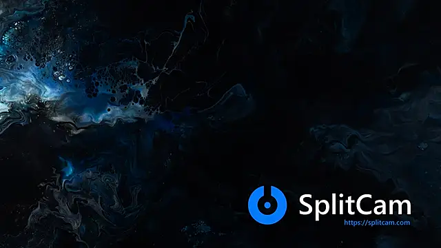 bull419M online show from December 21, 2025, 2:08 pm