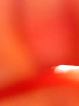 Rajni chauhan online show from October 21, 2025, 8:58 am