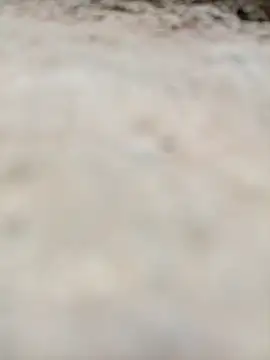 Rajni chauhan online show from October 31, 2025, 11:55 pm