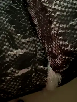 Snapshot of Hina-100 chatting on October 15, 2025, 10:56 am Hina-100 online show from October 15, 2025, 10:56 am