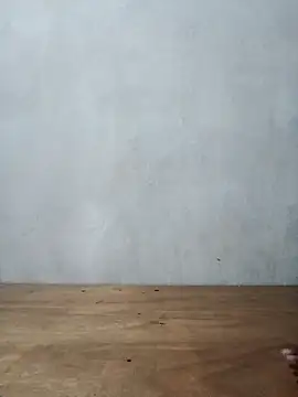 devson411 online show from October 22, 2025, 8:52 pm