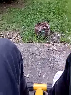 roludao fun online show from February 20, 2026, 9:17 pm