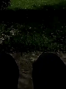 Snapshot of roludao_fun chatting on November 10, 2025, 10:48 pm roludao fun online show from November 10, 2025, 10:48 pm