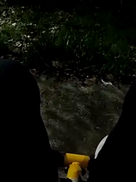 Snapshot of roludao_fun chatting on November 27, 2025, 12:00 am roludao fun online show from November 27, 2025, 12:00 am