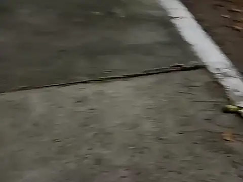 Snapshot of roludao_fun chatting on December 4, 2025, 10:09 pm roludao fun online show from December 4, 2025, 10:09 pm