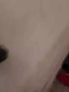 Orlao25cm online show from November 12, 2025, 4:44 pm